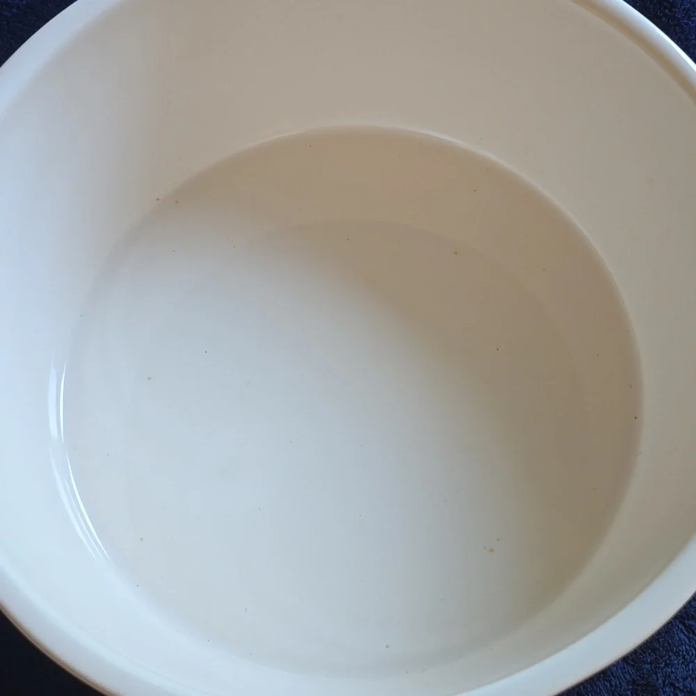 Rae Dunn Artisan Collection Ceramic WOOF Dog Bowl. 8" Diameter. - Picture 4 of 4